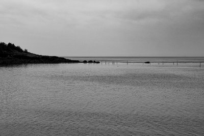 No Weir - Sandy Cove, Bay of Fundy