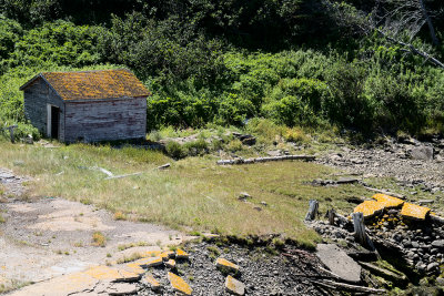 Centreville Ruins