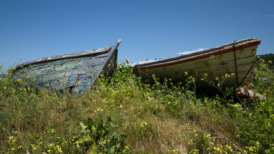 2 Boats- Gulliver's Cove