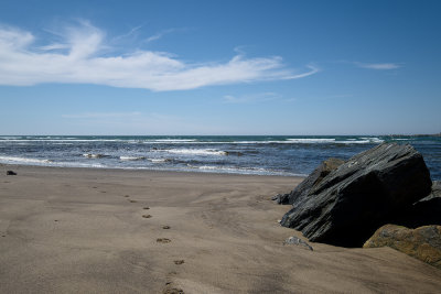 Shoes - Mavilette Beach