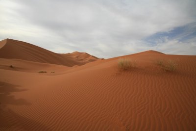 XIMG_2866.jpg