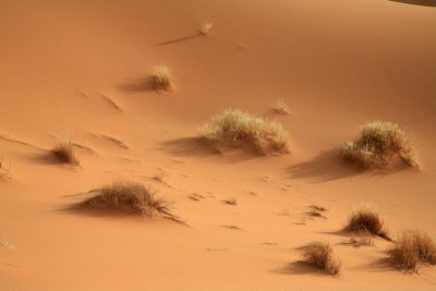XIMG_2946.jpg