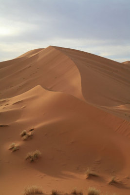 XIMG_2968.jpg