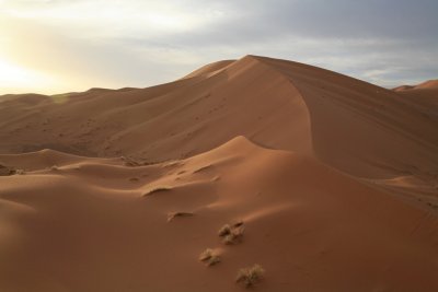 XIMG_2978.jpg