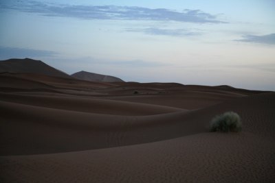 XIMG_3090.jpg