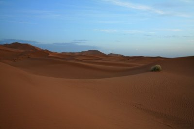 XIMG_3148.jpg