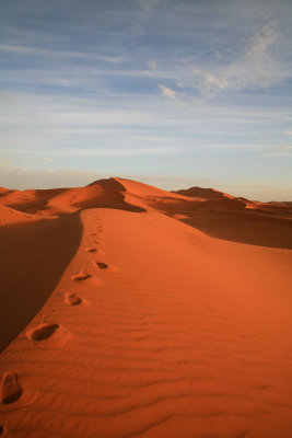 The Road from Nowhere