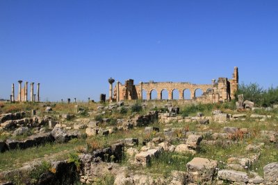 XIMG_7944.jpg
