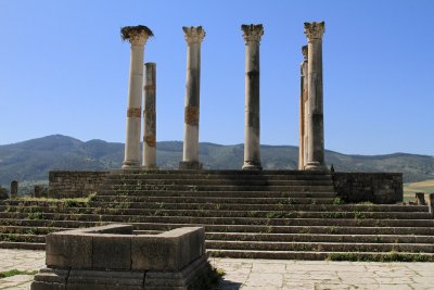 XIMG_7956.jpg