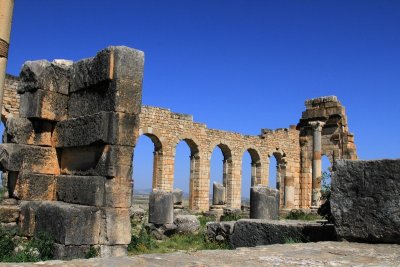 XIMG_7965.jpg
