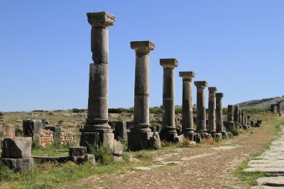 XIMG_8034.jpg