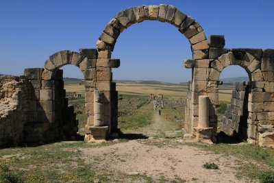 XIMG_8047.jpg