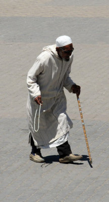 XIMG_8147.jpg