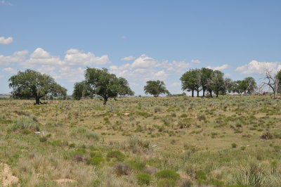 Amache, WWII Internment Camp