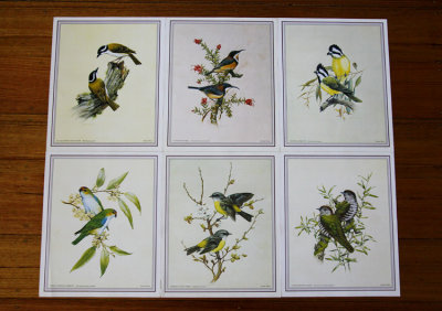 7555-deidre-bird-prints.jpg