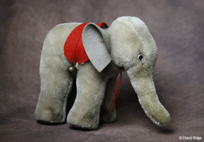 Hermann elephant