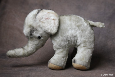 unknown elephant