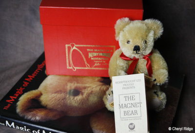 Merrythought Magnet bears