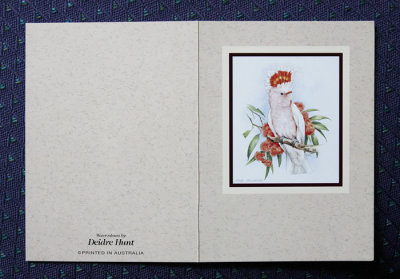 8951-deidre-hunt-card.jpg