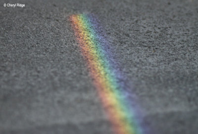 0240-rainbow.jpg