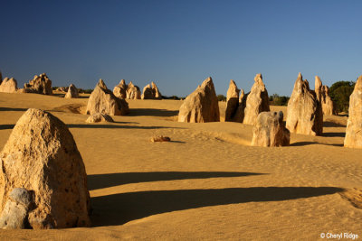 Pinnacles Desert