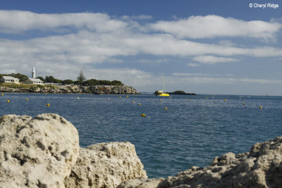 9286-rottnest.jpg