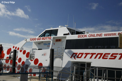 9287-rottnest.jpg