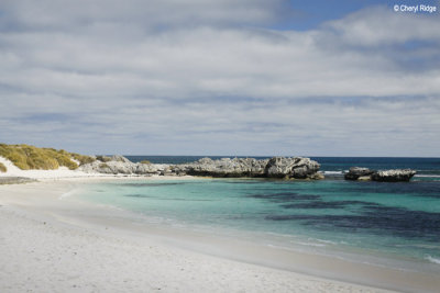 9314-rottnest.jpg