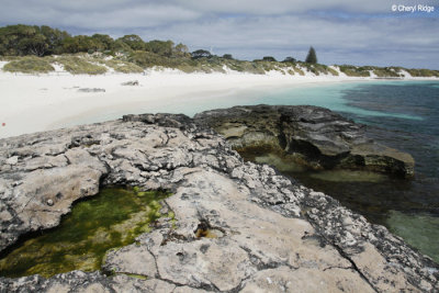 9328-rottnest.jpg
