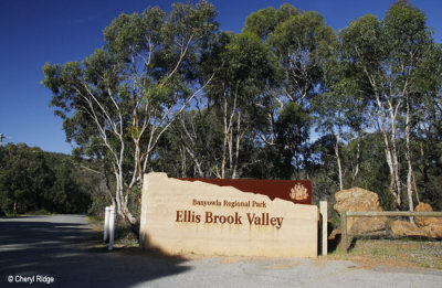 9266-ellis-brook-valley.jpg