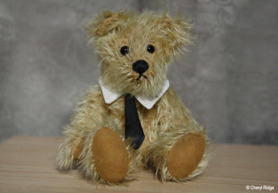 bear by S Paterson Australia