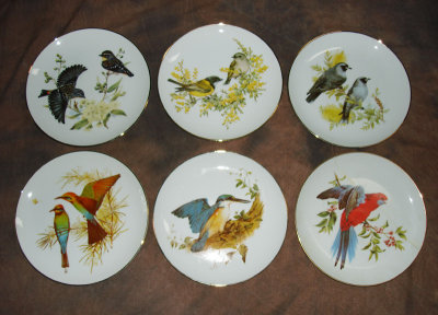 DSC00165-bush-birds-plates.jpg