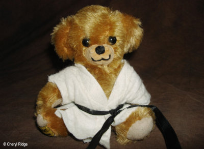 Merrythought micro Karate Cheeky 1996