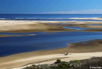 1000c-estuary-walk.jpg