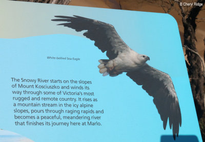 1006-eagle-estuary-walk.jpg