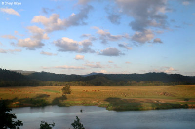 Daintree Village and river cruise