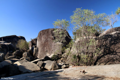 1917-mareeba.jpg