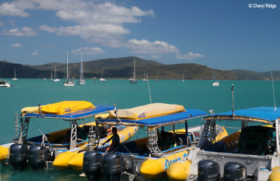 Ocean Rafting Whitsundays