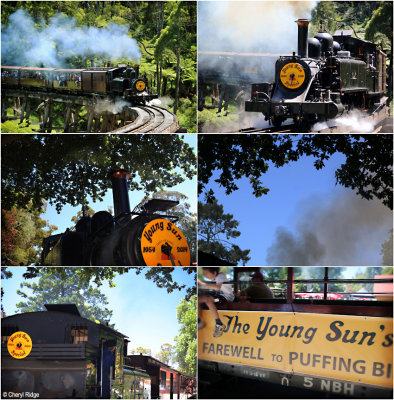 Puffing Billy's Young Sun special