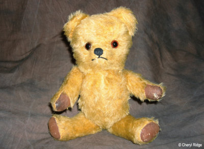 DSC00104-old-teddy.jpg