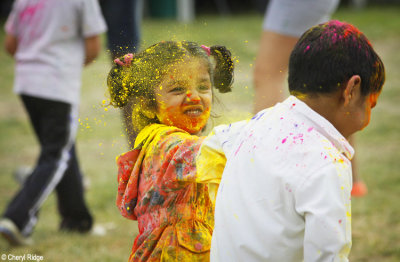 1063-holi-keysborough.jpg