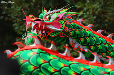 4664-cny-melb.jpg