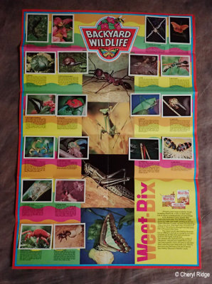 Weet-bix Backyard Wildlife cards and project poster 1981