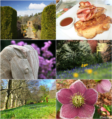 Cloudehill Gardens - Dandenong Ranges