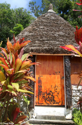 7839-lifou.jpg