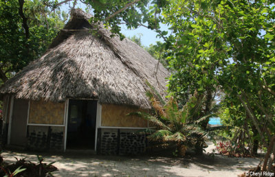 7987-mystery-island.jpg