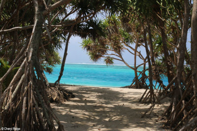 8000-mystery-island.jpg