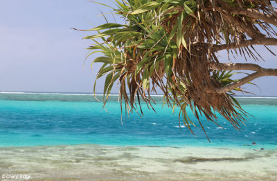 8001b-mystery-island.jpg