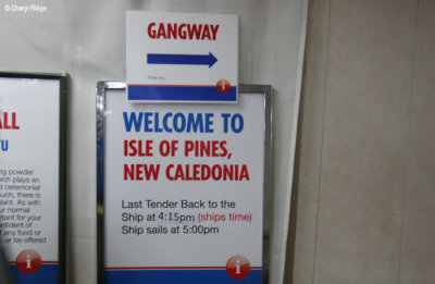 8089-ile-des-pins.jpg
