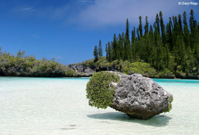 Isle of Pines New Caledonia